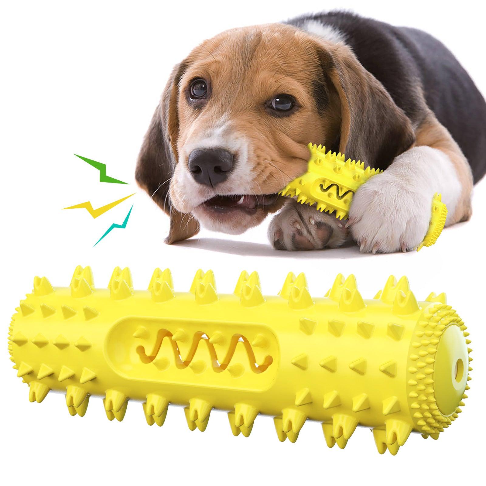 Interactive Dental Chew Toy