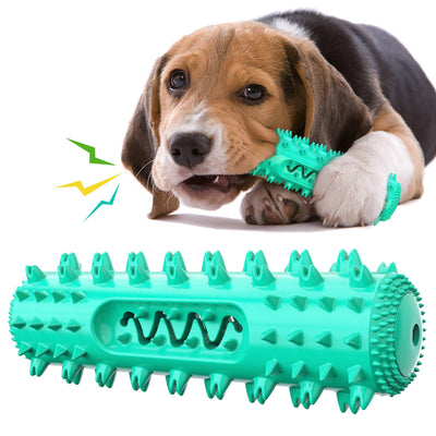 Interactive Dental Chew Toy