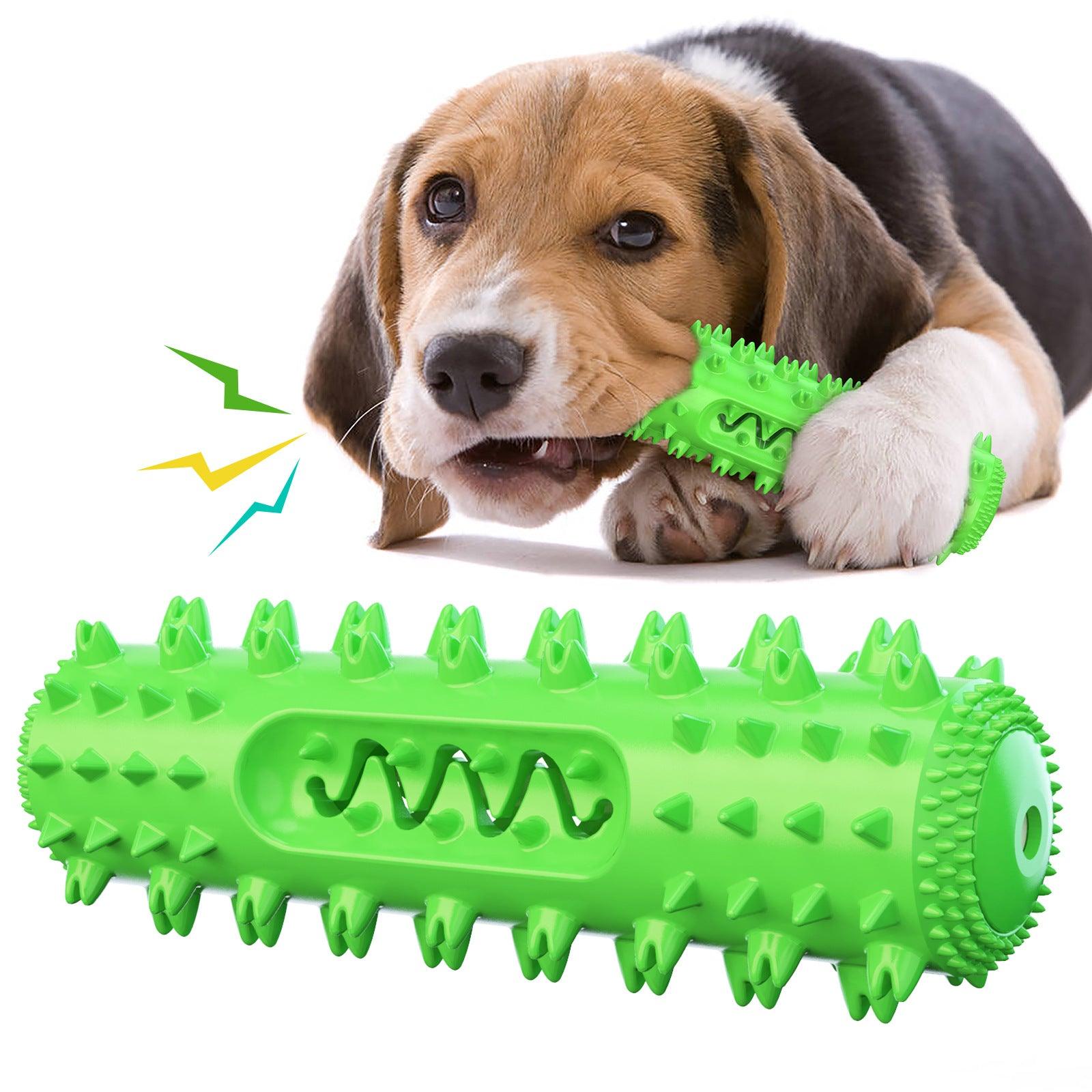 Interactive Dental Chew Toy