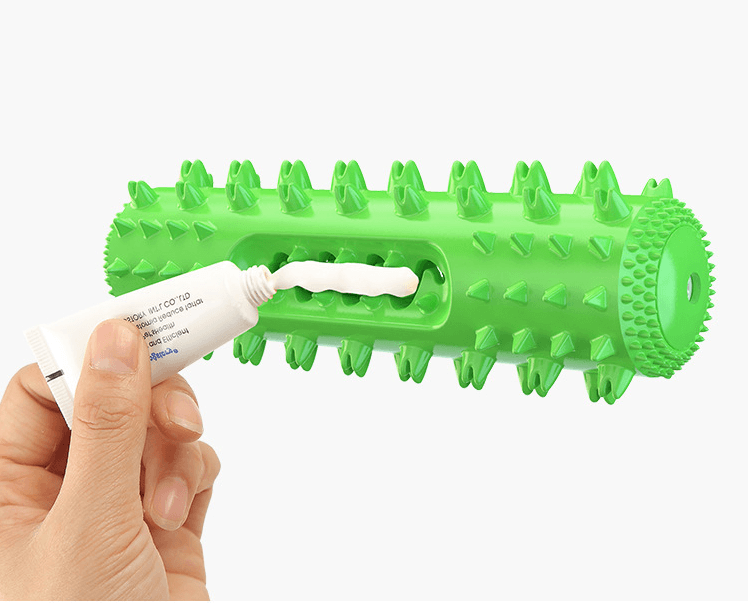 Interactive Dental Chew Toy