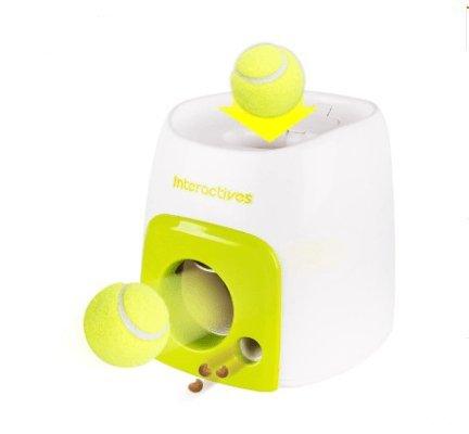 Automatic Pet Feeder
