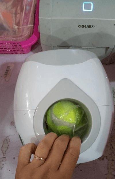 Automatic Pet Feeder