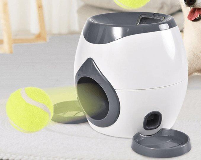 Automatic Pet Feeder