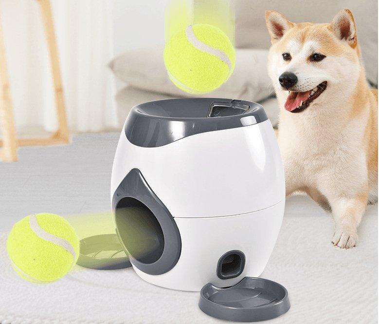 Automatic Pet Feeder